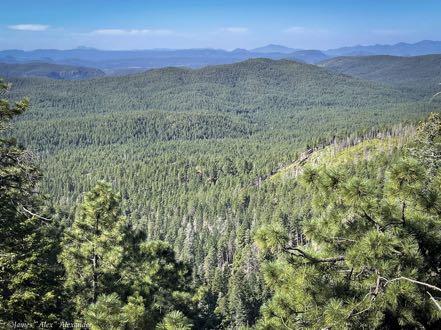 Mogollon Rim