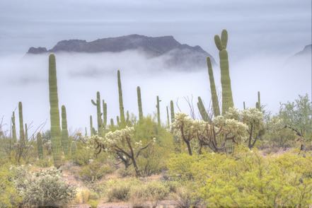 Another Cloudy Desert Shot