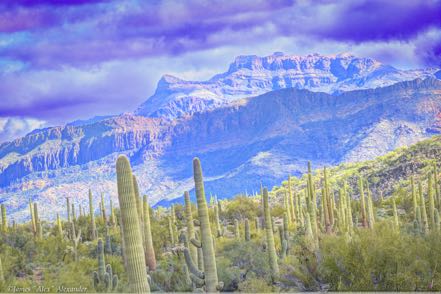 Organ Pipe Painted
